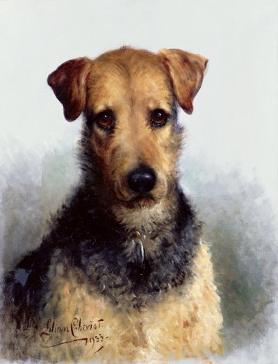 Wire Fox Terrier by Lilian Cheviot